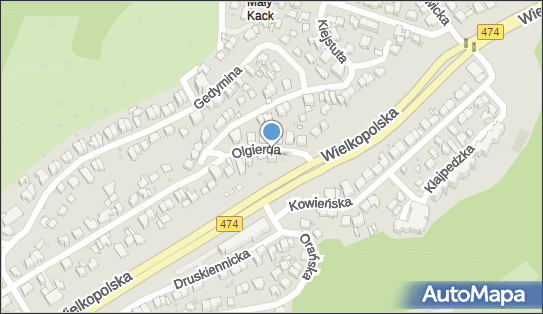 Indywidualna Praktyka Lekarska, ul. Olgierda 1A, Gdynia 81-534 - Przedsiębiorstwo, Firma, numer telefonu, NIP: 5862131122