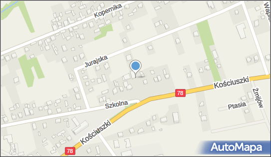 Indywidualna Praktyka Lekarska, ul. Szkolna 9, Kroczyce 42-425 - Przedsiębiorstwo, Firma, NIP: 6430011073