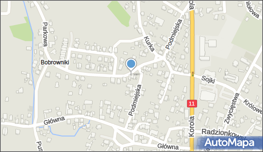 Indywidualna Praktyka Lekarska, ul. Podmiejska 7, Tarnowskie Góry 42-600 - Przedsiębiorstwo, Firma, NIP: 6451074222