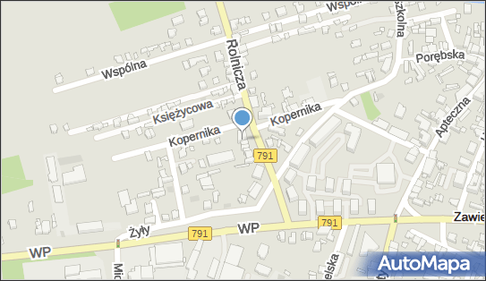 Indywidualna Praktyka Lekarska, ul. Rolnicza 1F 42-400 - Przedsiębiorstwo, Firma, NIP: 6492192556