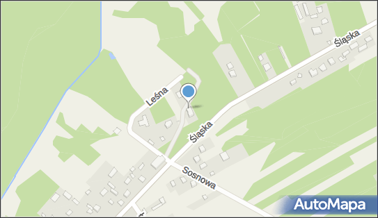 Indywidualna Praktyka Lekarska, ul. Leśna 10, Rudnik Mały 42-261 - Przedsiębiorstwo, Firma, NIP: 5732538983