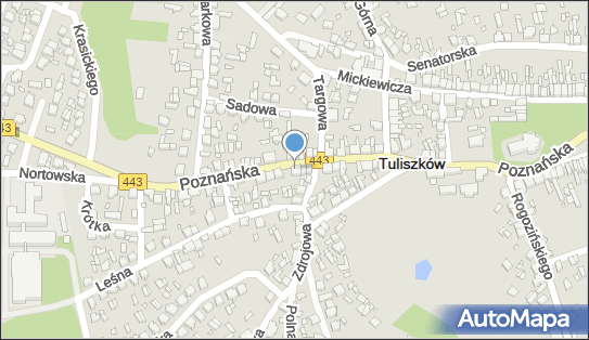 Indywidualna Praktyka Pielęgniarska Edyta Ślesińska-Majkowska 62-740 - Przedsiębiorstwo, Firma, NIP: 6681626932