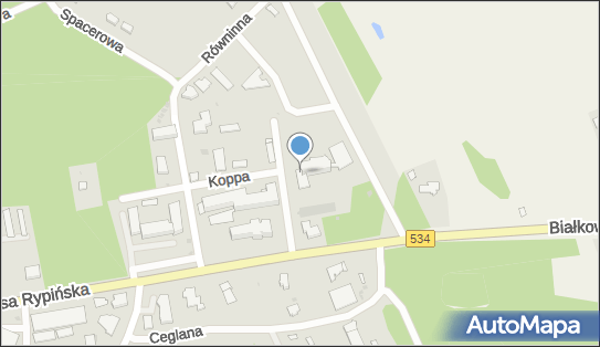 8781244042, Indywidualna Praktyka Pielęgniarska Krystyna Lewicka 