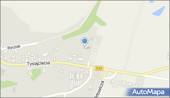 Indywidualna Praktyka Pielęgniarska, ul. Tysiąclecia 53A 87-220 - Przedsiębiorstwo, Firma, NIP: 8781035284