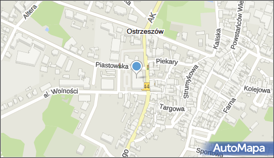 Indywidualna Praktyka Pielęgniarska, Plac Borek 18, Ostrzeszów 63-500 - Przedsiębiorstwo, Firma, NIP: 6221652603