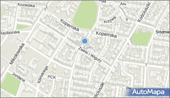 6341801425, Indywidualna Specjalistyczna Praktyka Lekarska DR Renata Wojtek-Tkocz 