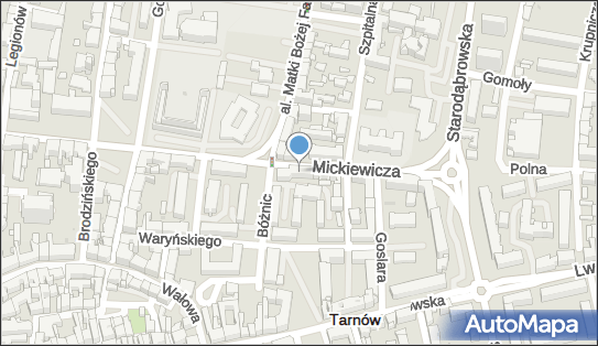 Indywidualna Specjalistyczna Praktyka Lekarska Lek Med, Tarnów 33-100 - Przedsiębiorstwo, Firma, NIP: 8731716869