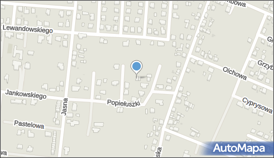 6222255442, Indywidualna Specjalistyczna Praktyka Lekarska Lek.Sylwia Nowacka 