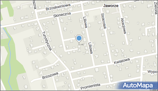 9372344491, Indywidualna Specjalistyczna Praktyka Lekarska - Ewelina Jaworska 