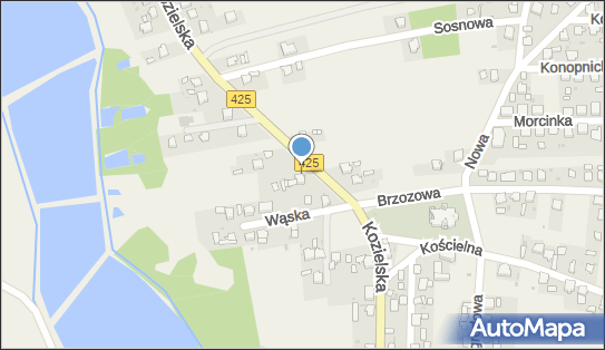 Indywidualna Specjalistyczna Praktyka Lekarska Wizyty Domowe 47-244 - Przedsiębiorstwo, Firma, NIP: 7491766949