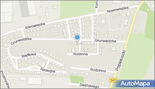 8951035539, Elżbieta Ambrożewicz Indywidualna Specjalistyczna Praktyka Lekarska 