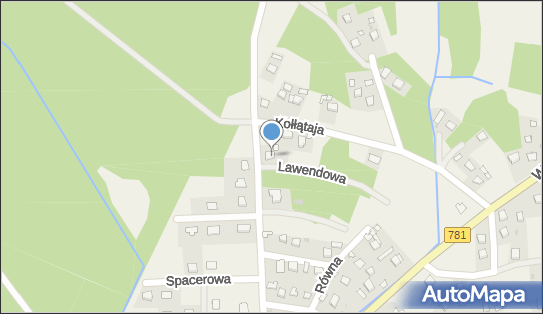 5491042392, Indywidualna Specjalistyczna Praktyka Lekarska Barbara Kowalczyk-Razowska 