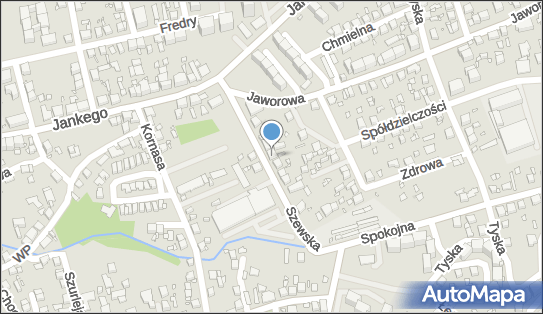 Indywidualna Specjalistyczna Praktyka Lekarska, ul. Szewska 20 40-649 - Przedsiębiorstwo, Firma, NIP: 9541406706