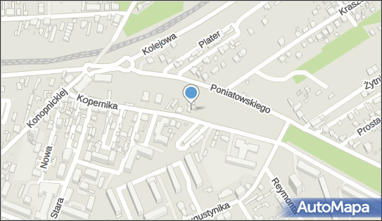 Indywidualna Specjalistyczna Praktyka Lekarska, ul. Kopernika 7 41-300 - Przedsiębiorstwo, Firma, NIP: 6291828467