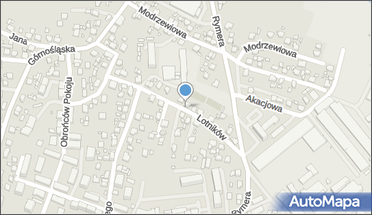 Indywidualna Specjalistyczna Praktyka Lekarska, Lotników 15 44-270 - Przedsiębiorstwo, Firma, NIP: 6421206251