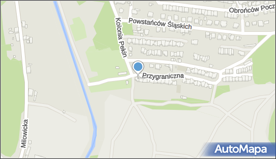 6341692166, Indywidualna Specjalistyczna Praktyka Lekarska - Piotr Loppe 