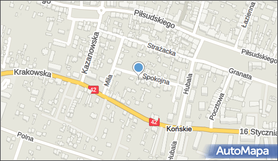 6581110241, Indywidualna Specjalistyczna Praktyka Lekarska Jacek Wijata 