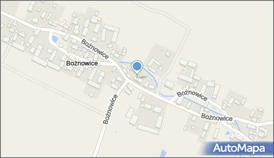 Indywidualne Gospodarstwo Rolne Krzewski Janusz, Bożnowice 41 57-210 - Przedsiębiorstwo, Firma, NIP: 8871571514