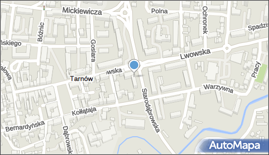 8732796333, Information Commerce Management Guziak Zbigniew Ryszard 