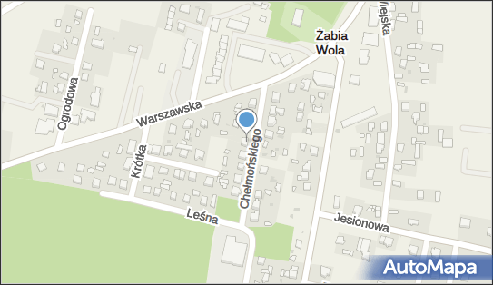 5291682738, Injector-Pro Radosław Marzęcki 