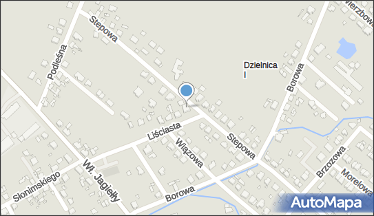 9910238192, Inley Choińska Marzena 