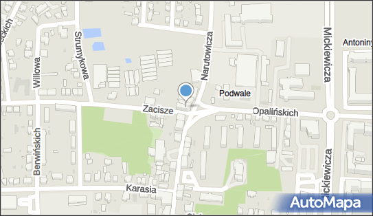 6971395429, Instalatorstwo Gazowe Andrzej Kapica, Leszno 