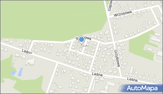 6221333424, Instalatorstwo Gazowe - Tadeusz Szmaj 