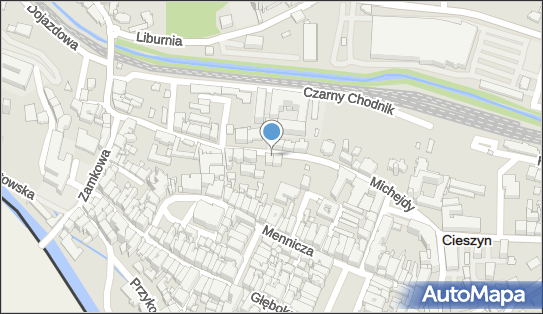 Instalatorstwo Sanitarne Co i Gaz, ul. dr. Jana Michejdy 11 43-400 - Przedsiębiorstwo, Firma, NIP: 5481002416