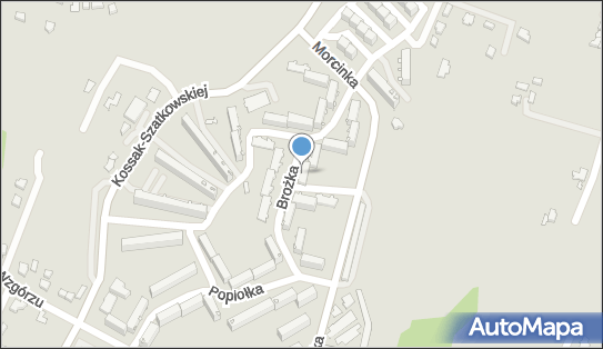 5481290102, Instalatorstwo Wod.-Kan.Co i Gaz, Wyrób Wieńców i Wiązanek Brudny Wład. 