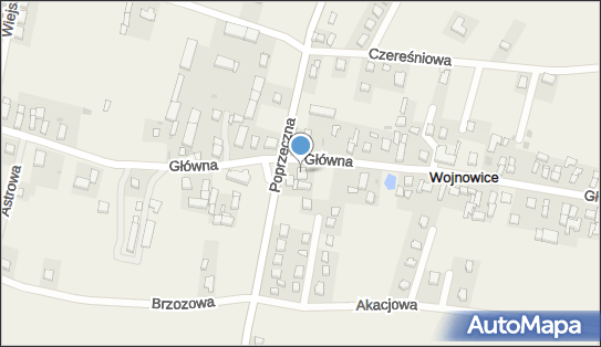 Insterm Piotr Hnatów, Główna 30, Wojnowice 55-003 - Przedsiębiorstwo, Firma, NIP: 8961480732