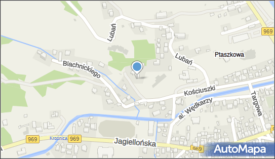 Instytut im.KS.F.Blachnickiego w Krościenku N.Dunajcem 34-450 - Przedsiębiorstwo, Firma, numer telefonu, NIP: 7352225084