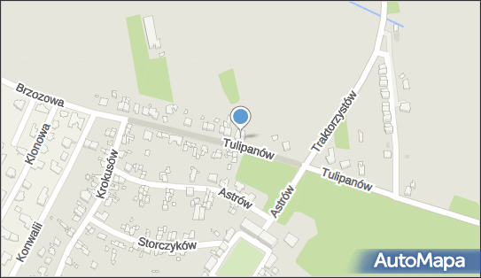 Instytut Komfortu Fizycznego i Urody, Tulipanów 57, Gliwice 44-152 - Przedsiębiorstwo, Firma, numer telefonu, NIP: 6311116191