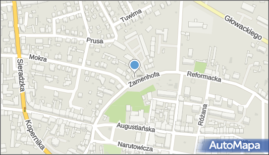 Instytut Zdrowia i Urody, ul. Ludwika Zamenhofa 13, Wieluń 98-300 - Przedsiębiorstwo, Firma, NIP: 8321811284