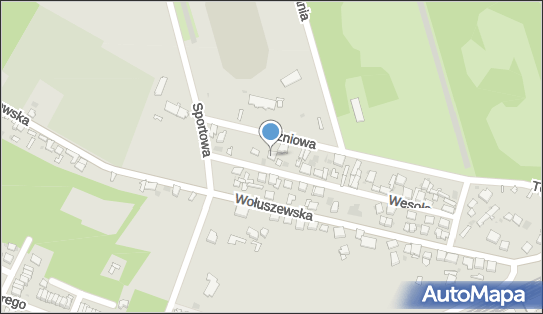 Inteldom Ewa Kierzkowska Stochmal, Wesoła 36, Ciechocinek 87-720 - Przedsiębiorstwo, Firma, NIP: 8911043863