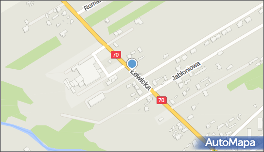 Inter Cars S.A. części i technika motoryzacyjna, Łowicka 125 96-100 - Przedsiębiorstwo, Firma, godziny otwarcia, numer telefonu