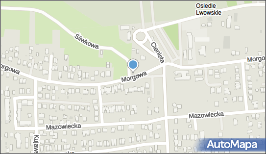 Inter Style, ul. Morgowa -, Rzeszów 35-301 - Przedsiębiorstwo, Firma, numer telefonu, NIP: 8133193427