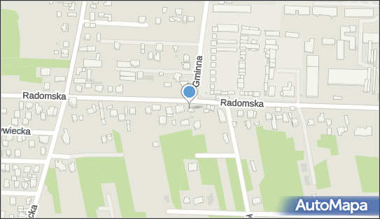 Internistyczny Gabinet Lekarski Lek Med, ul. Radomska 57 42-221 - Przedsiębiorstwo, Firma, NIP: 5731767569