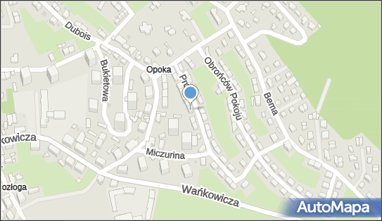 Interwork Technologies, Prosta 15, Wałbrzych 58-304 - Przedsiębiorstwo, Firma, numer telefonu, NIP: 8862914498
