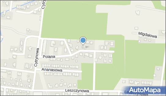5421124825, Ipp Med Lucyna Czech 