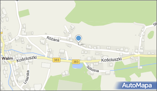 IPROJECT GRZEGORZ FARYNA, Różana, Walim 58-320 - Przedsiębiorstwo, Firma