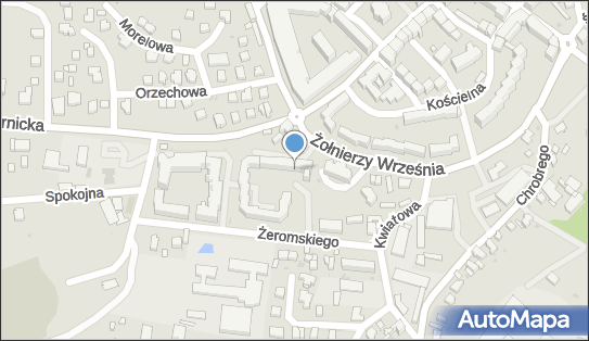 9151027786, Sklep Spożywczo-Przemysłowy Irena Działowy 