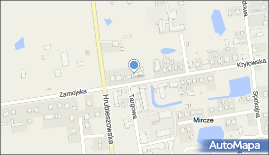 Irena Frankiewicz - Działalność Gospodarcza, Kryłowska 11b 22-530 - Przedsiębiorstwo, Firma, numer telefonu, NIP: 9191016300