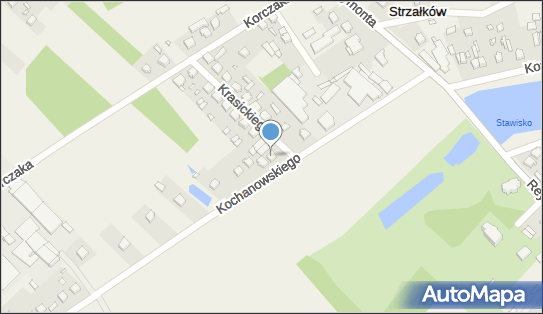 Ireneusz Matusiak Firma Handlowa Matusiak, ul. Krasickiego 1 97-500 - Przedsiębiorstwo, Firma, NIP: 7721236251