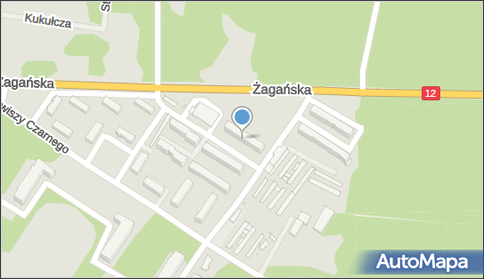 Ireneusz Musiel Gepard Transport Samochodowy, Zawiszy Czarnego 14 68-200 - Przedsiębiorstwo, Firma, NIP: 9281281626