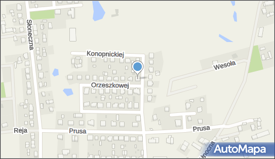 IRMAG-TRANS IRENEUSZ PIOTROWSKI, Orzeszkowej Elizy 2, Lubichowo 83-240 - Przedsiębiorstwo, Firma, numer telefonu