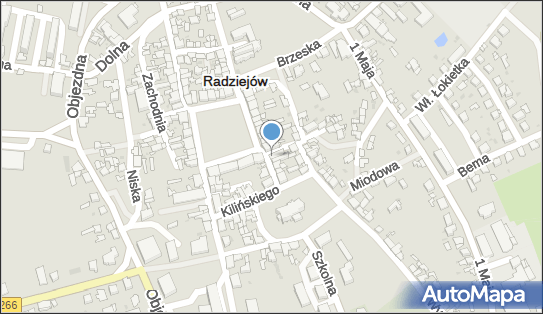 Irmina Ostajewska, Pułaskiego 1, Radziejów 88-200 - Przedsiębiorstwo, Firma, NIP: 8891472821
