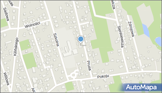 8222342946, Irtrans Marcin Zieliński Marcin Kąca Sp. j. 