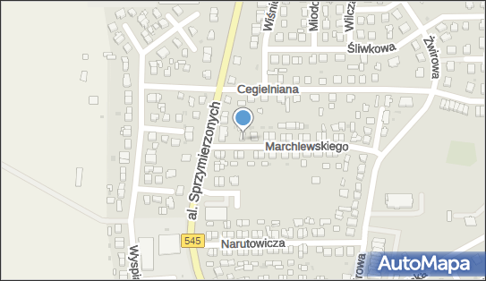 510203145, Michalski Ireneusz - 