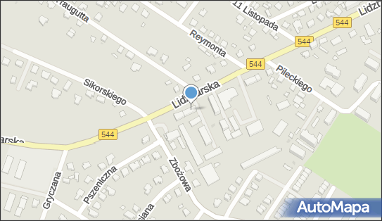 Ispl Gabinet Lekarski Laryngologiczny Wabich Magdalena Ewa 13-200 - Przedsiębiorstwo, Firma, numer telefonu, NIP: 5711217363