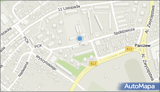 061428845, IT Consulting Kamil Wysocki 